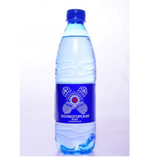 Вода "Холмогорская" 0,5л газ. питьевая 1 категории пл/б