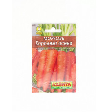 Морковь Королева осени, Россия, 2г