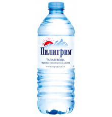 Вода минеральная ПИЛИГРИМ питьевая, негазированная, Россия, 0,5л