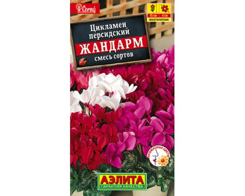 Цикламен персидский Жандарм смесь сортов 3шт